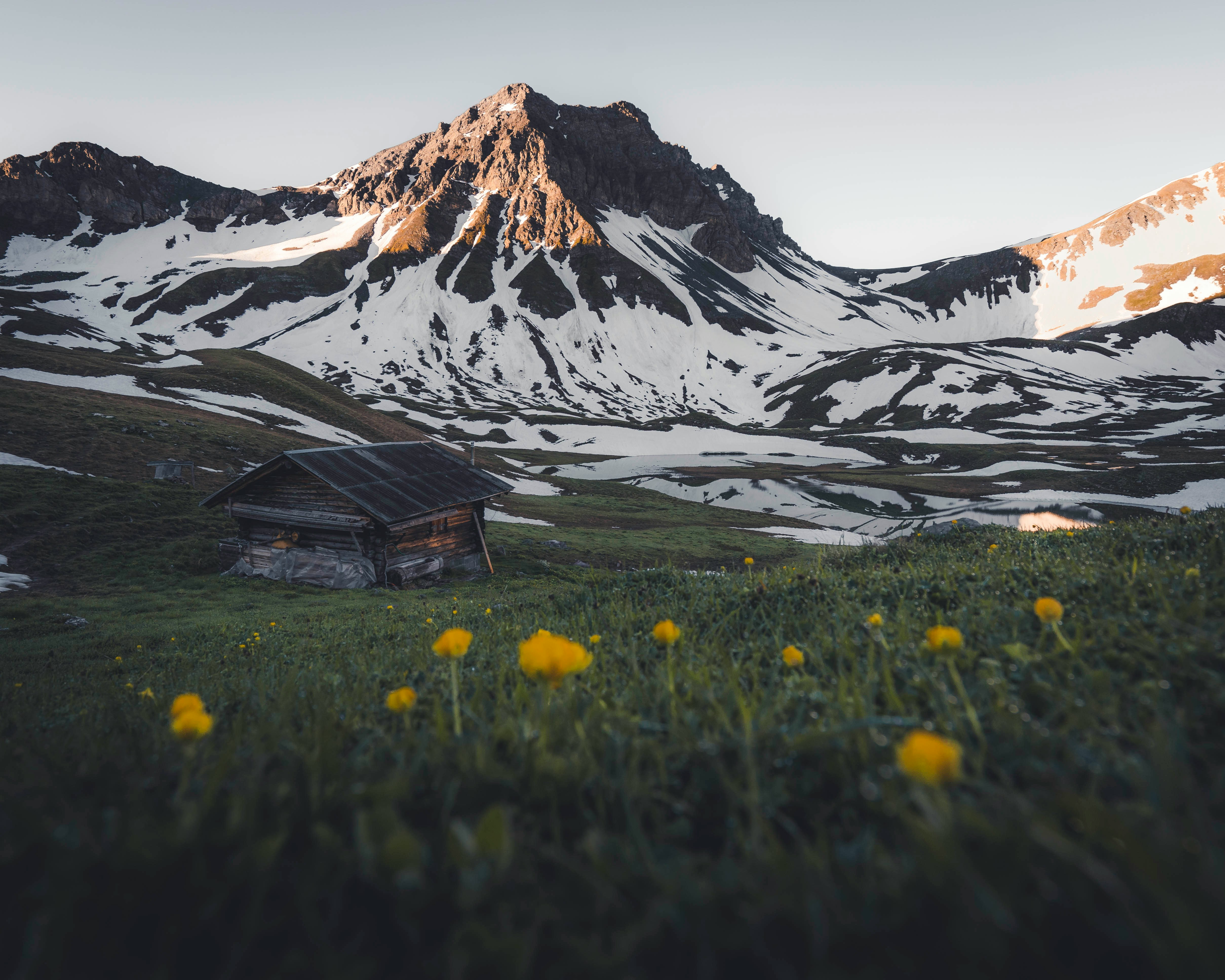 A cabin in front of a mountain with wildflowers - credit to Dario Jud.